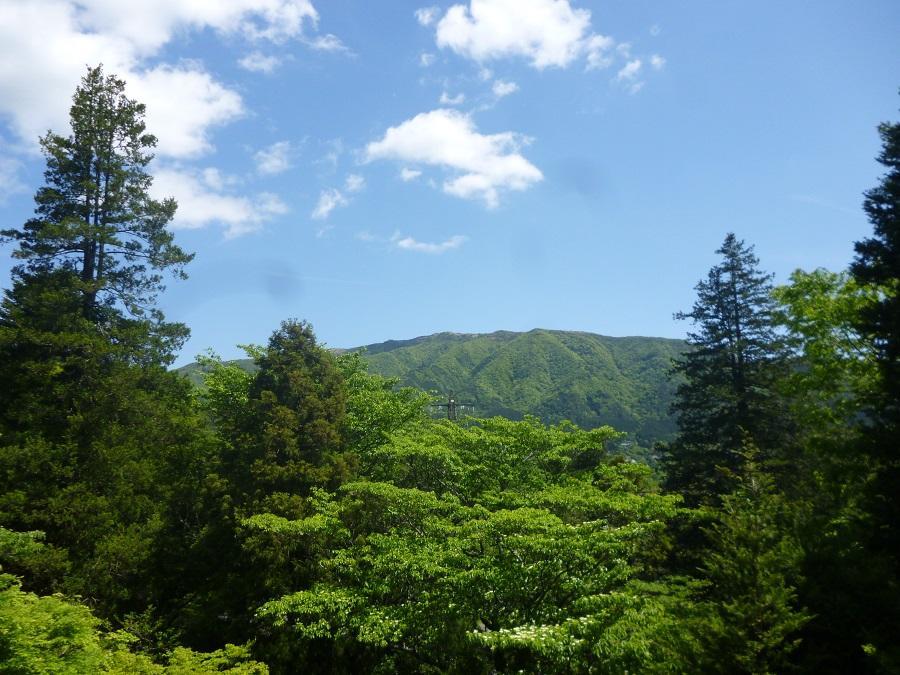 Kaze No Ne 호텔 하코네 외부 사진